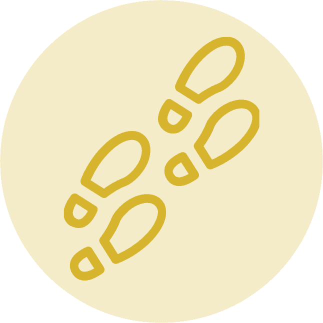 Craniofacial Australia logo with a gold circle background.